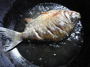 红烧鲳鱼的做法步骤3