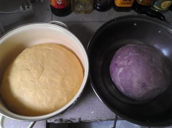 紫薯南瓜双色馒头的做法步骤4