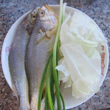 小黄鱼炖大白菜的做法图解1