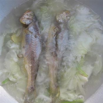 小黄鱼炖大白菜的做法图解6