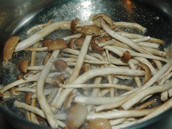 干锅茶树菇的做法图解4