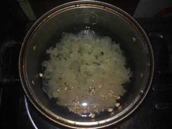 沙参玉竹银耳薏米汤的做法图解2