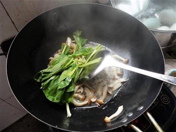 蚝油蟹味菇炒青菜的做法步骤5