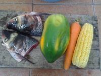 鱼头木瓜玉米汤的做法图解1