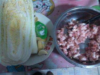 猪肉白菜饺子的做法步骤2