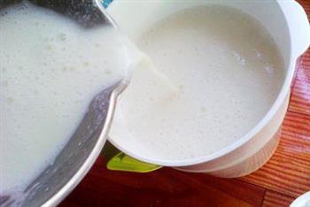 豆浆炖排骨的做法步骤4