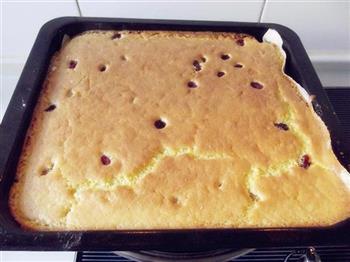 蔓越莓海绵蛋糕的做法步骤9
