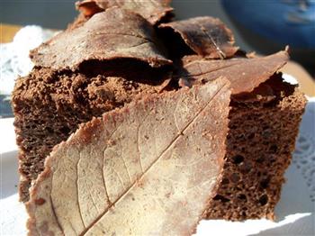 巧克力落叶蛋糕的做法图解7