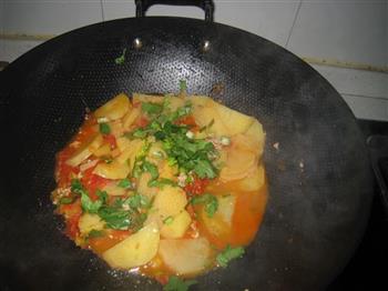 番茄肉末焖土豆的做法步骤7