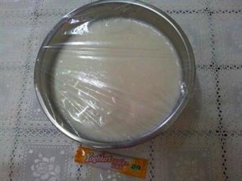 自制酸奶的做法步骤6