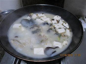 豆腐鱼汤的做法图解4