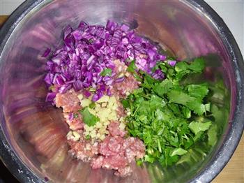 紫甘蓝香菜水晶饺的做法图解1