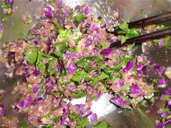 紫甘蓝香菜水晶饺的做法图解2