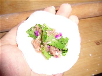 紫甘蓝香菜水晶饺的做法图解6