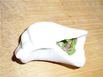 紫甘蓝香菜水晶饺的做法步骤7