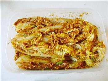 腌朝鲜辣白菜的做法步骤12