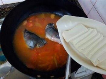 番茄鱼头豆腐汤的做法步骤8