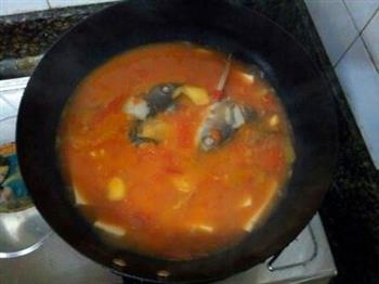 番茄鱼头豆腐汤的做法步骤9