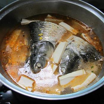 麻辣鱼头豆腐锅的做法步骤6