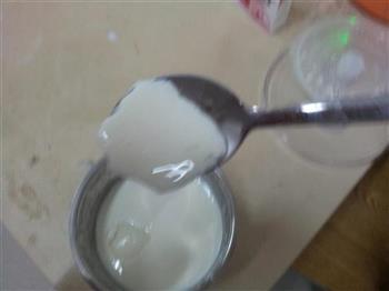 美味大枣优比特酸奶的做法步骤8