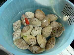红心蛤蜊炖蛋的做法步骤1