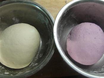 紫薯银丝卷的做法步骤5