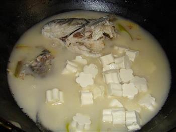 鱼头豆腐汤的做法步骤8