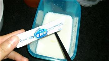 自制原味酸奶的做法步骤5