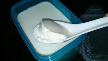 自制原味酸奶的做法步骤9