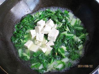 小白菜炖豆腐的做法图解4