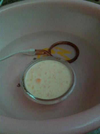 木瓜牛奶布丁的做法步骤3