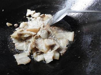 蒜香回锅肉的做法步骤9