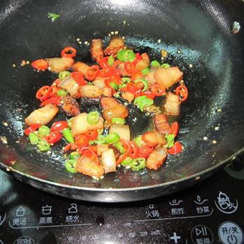 辣椒炒腊肉的做法步骤5