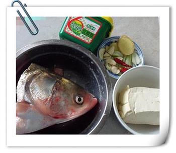 香辣鱼头豆腐的做法步骤1