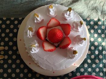 草莓蛋糕的做法步骤19