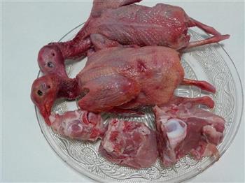 营养乳鸽汤的做法图解1