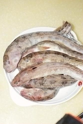 酱焖海鲶鱼的做法图解1