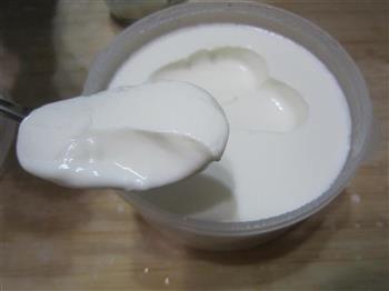 自制核桃酸奶的做法步骤4