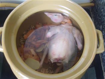土伏苓眉豆煲白鸽的做法步骤5