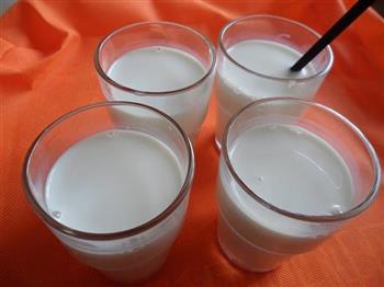 自制酸奶的做法步骤4