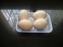 煮鸡蛋的做法步骤3
