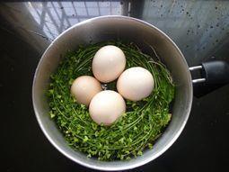 煮鸡蛋的做法步骤5