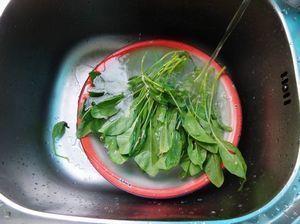 蚝油菠菜粉丝的做法步骤2