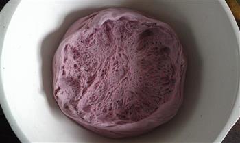 紫薯枣馒头的做法图解4