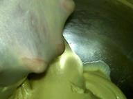 鲜奶葡萄干花环面包的做法图解4