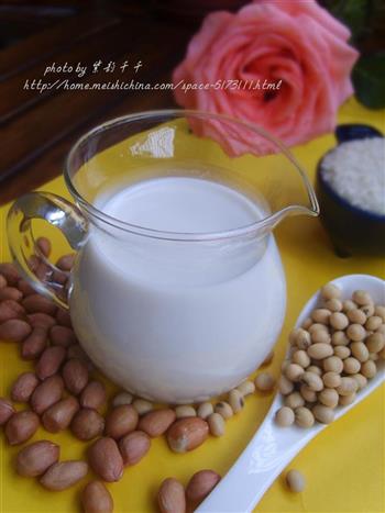 花生牛奶大米汁的做法步骤9