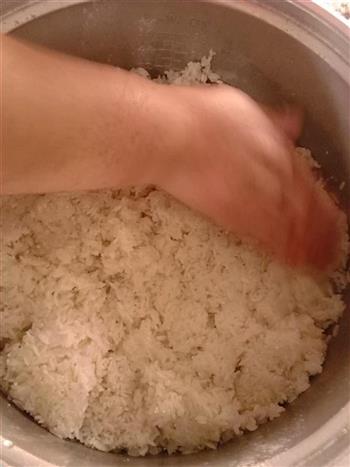 米酒的制作的做法步骤6