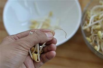 干煸黄豆芽的做法图解1