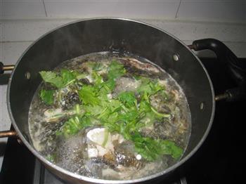 鱼头紫菜蛋花汤的做法步骤8