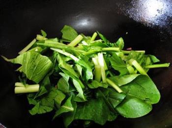 火腿炒白菜苔的做法步骤5